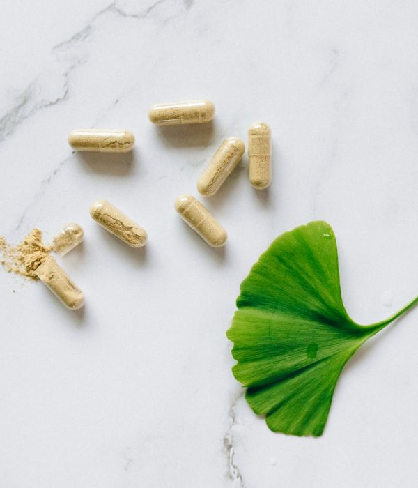 Herbal ingredients for metabolic wellness support